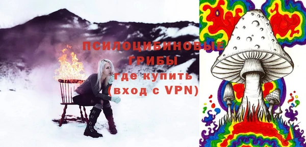 прущий лед Алексин