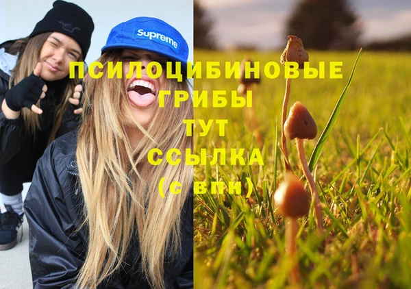 таблы Алзамай