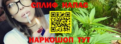 СК Кандалакша