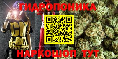 трава Камышлов