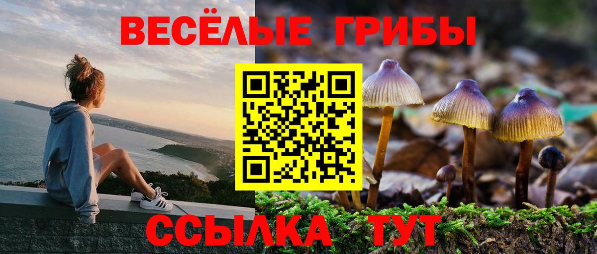 Ленинск-Кузнецкий  Галлюциногенные грибы MAGIC MUSHROOMS  Вход с VPN  Галлюциногенные грибы Magic Shrooms 